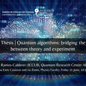 Quantum Algorithms: bridging the gap between theory and experiment