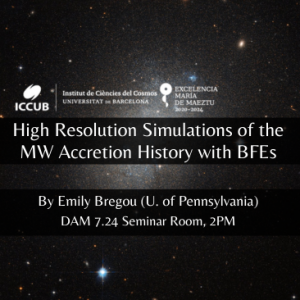 High Resolution Simulations of the MW Accretion History with BFEs