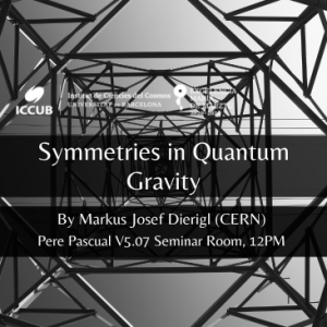Symmetries in Quantum Gravity