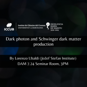 Dark photon and Schwinger dark matter production