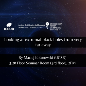 Looking at extremal black holes from very far away