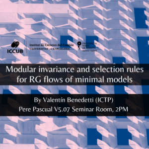 Modular invariance and selection rules for RG flows of minimal models
