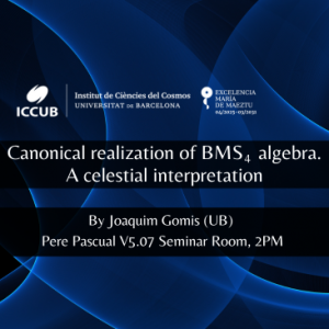 Canonical realization of BMS_4 algebra. A celestial interpretation