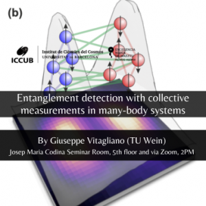 Entanglement detection with collective measurements in many-body systems