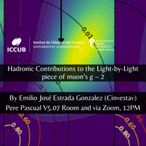 Hadronic Contributions to the Light-by-Light piece of muon’s g – 2
