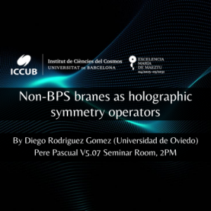 Non-BPS branes as holographic symmetry operators