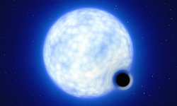 Artist’s impression of the black hole in NGC 1850 distorting its companion star